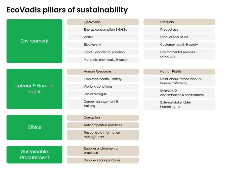 EcoVadis pillars of sustainability