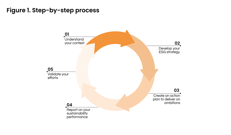 Figure 1. ESG Process (2)