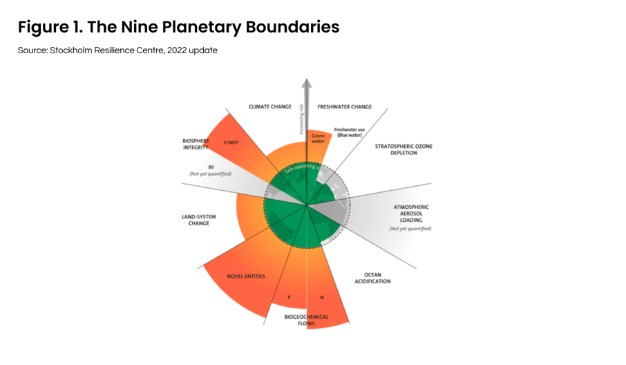 Figure 1. Nine Planetary Boundaries 
