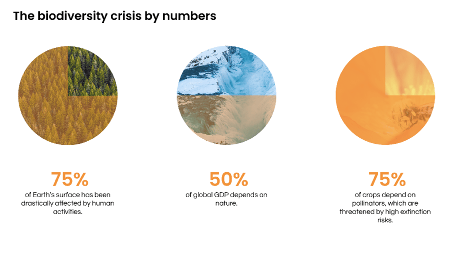 Figure 1. The biodiversity crisis by numbers-1-1