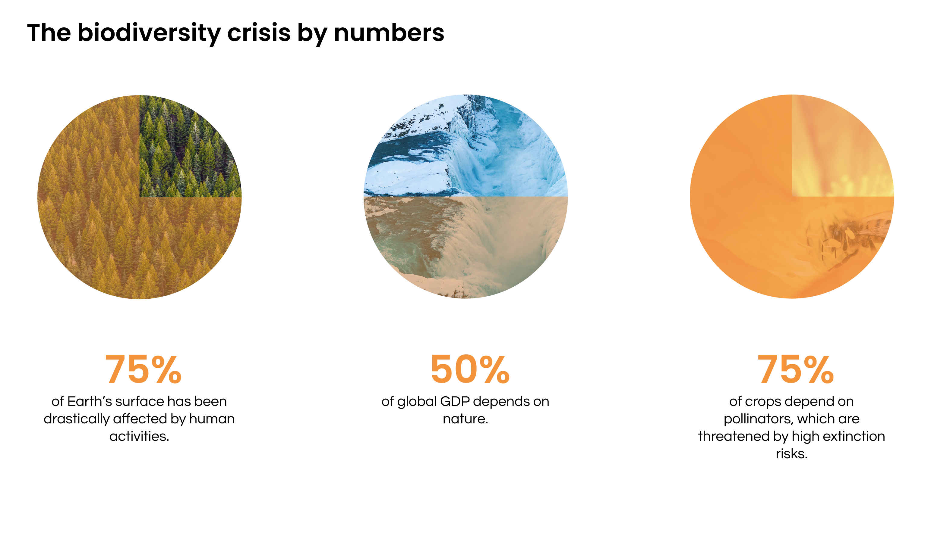 Figure 1. The biodiversity crisis by numbers