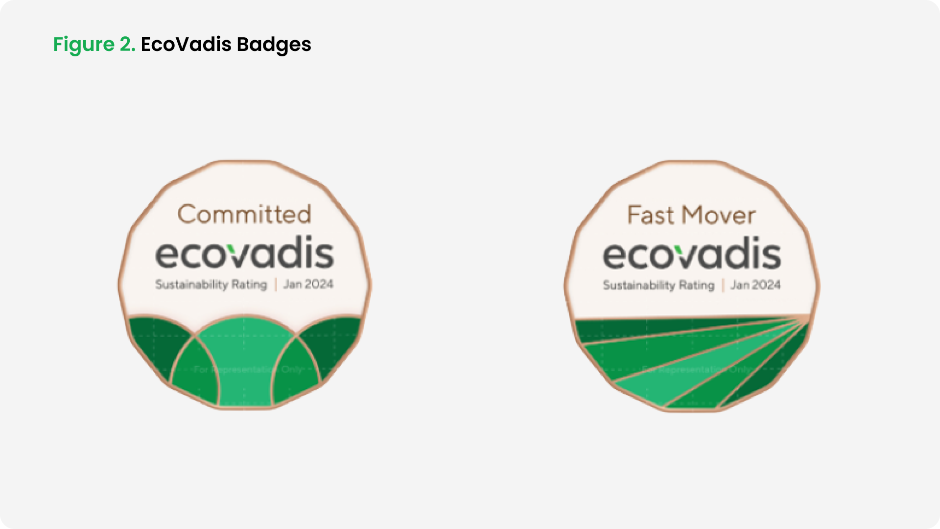 Figure 2 - EcoVadis Badges