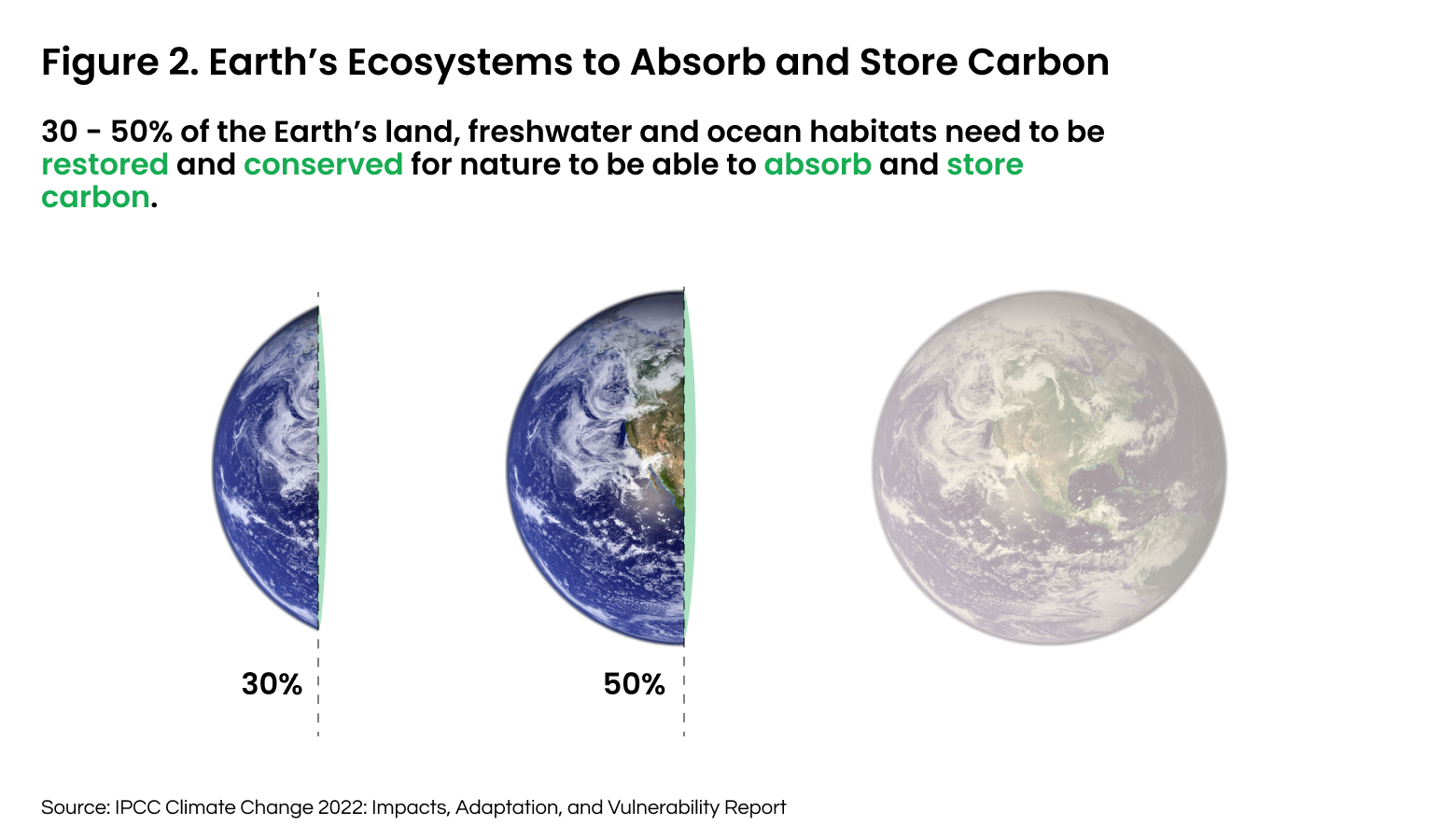 Figure 2. Earth to be restored