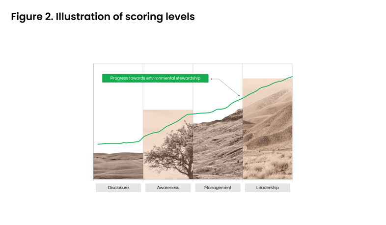 Figure 2. Illustration of scoring levels