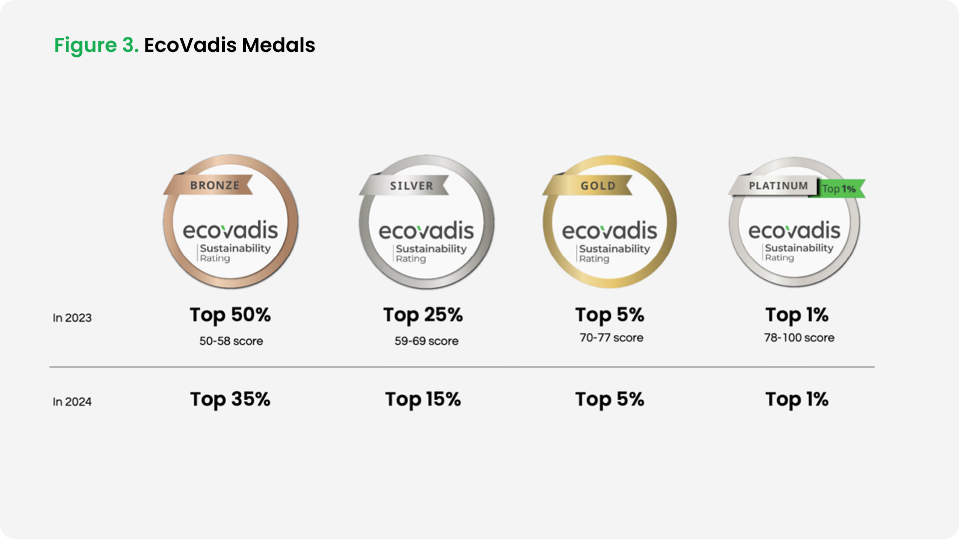 Figure 3 - EcoVadis Medals