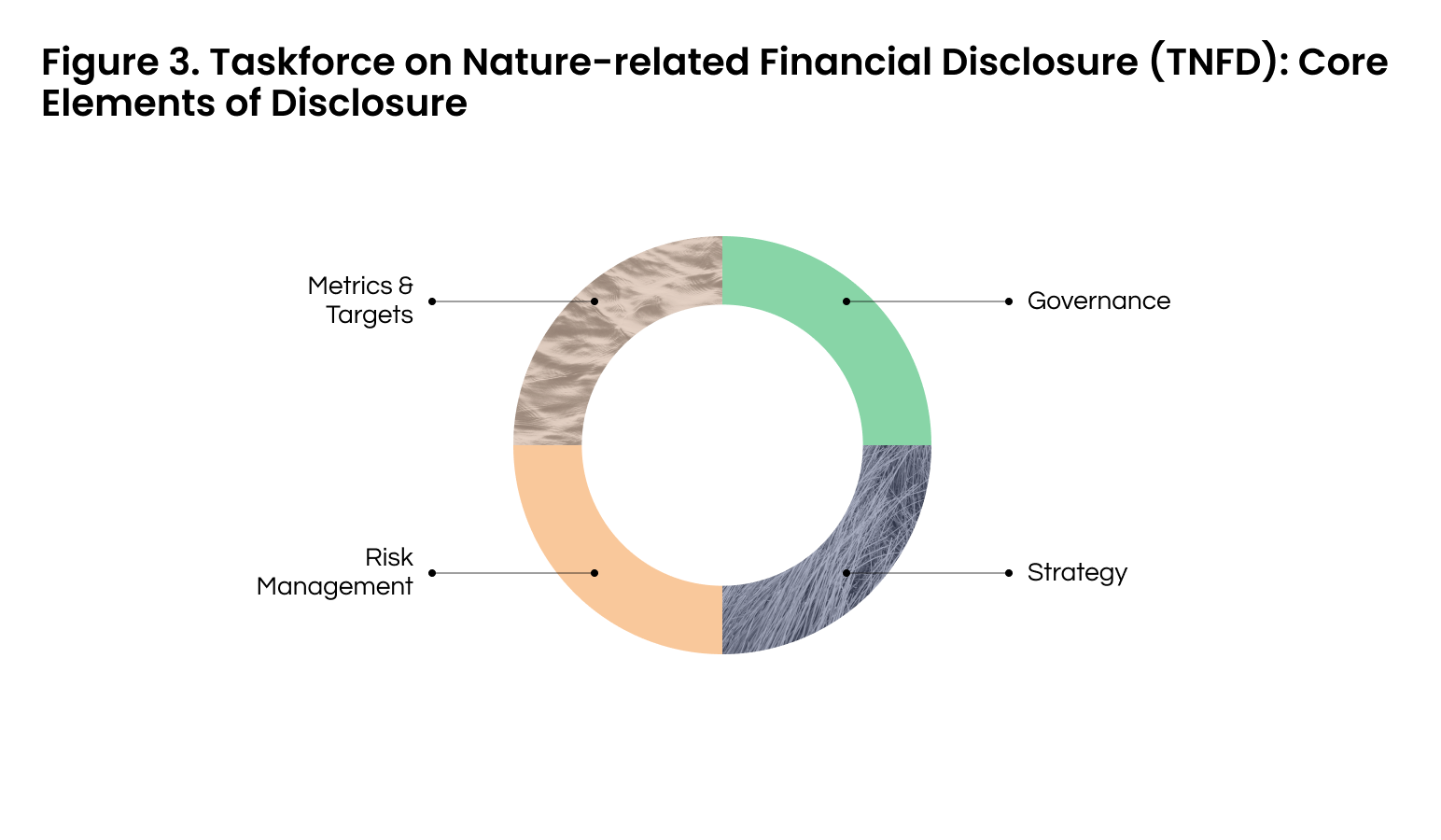 Figure 3. TNFD