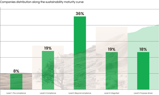 Companies distribution along the sustainability maturity curve