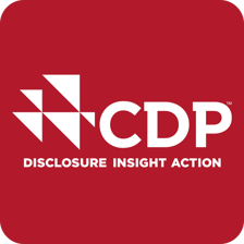 Image of the official logo of CDP