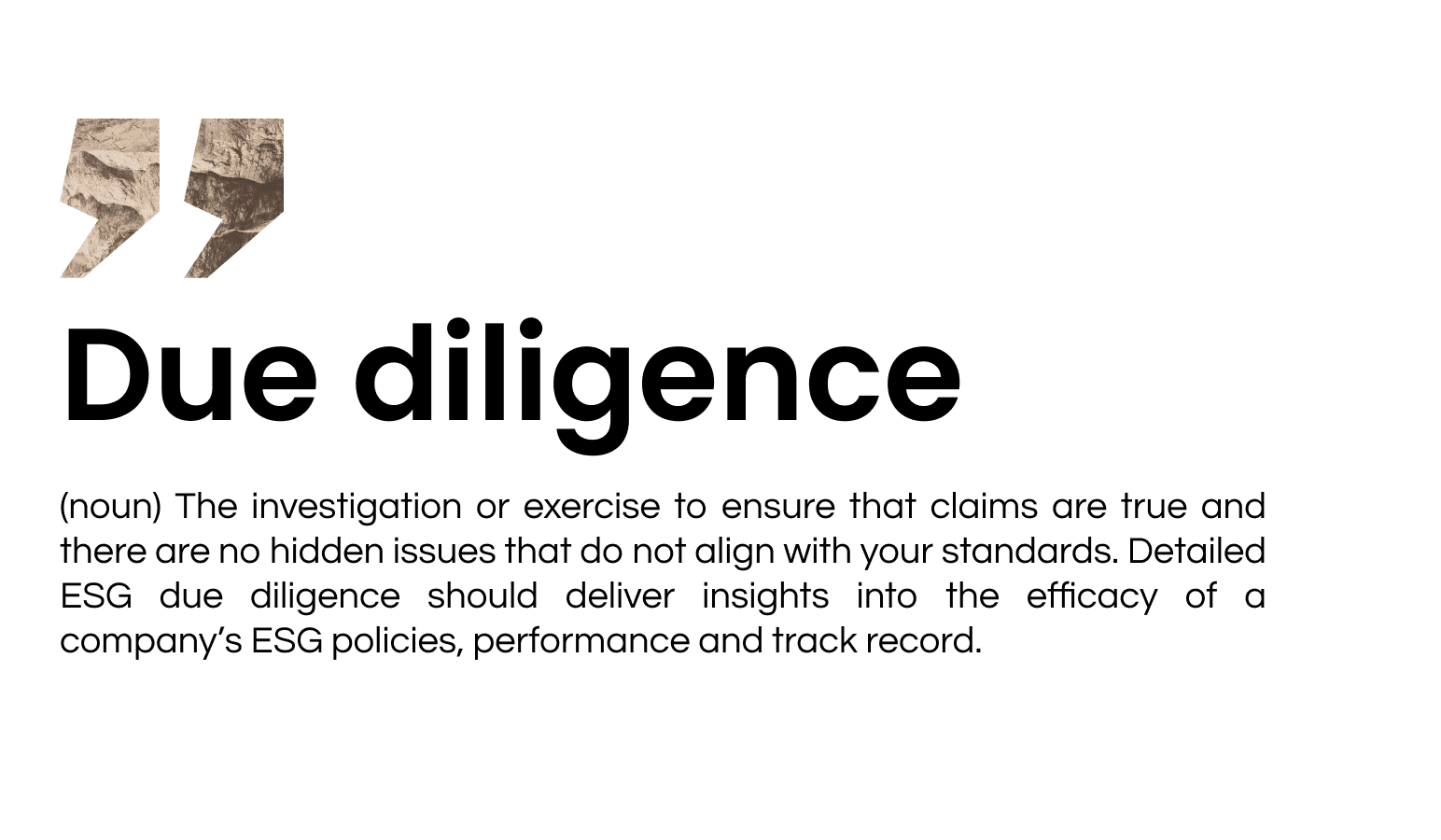 Definition of due diligence