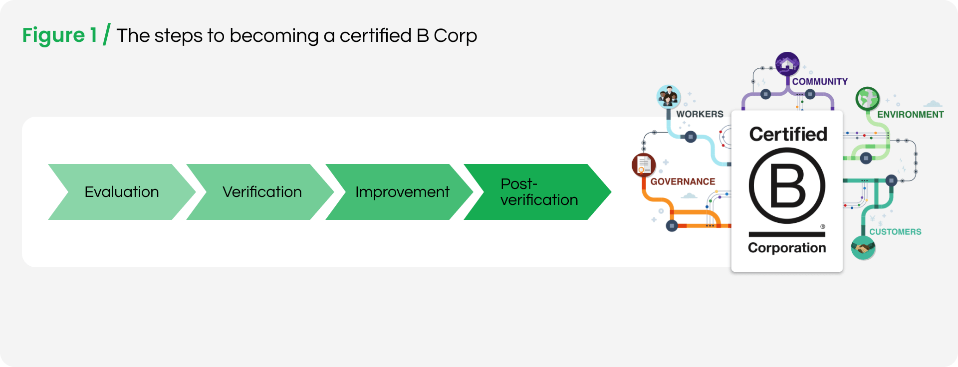 Steps to B Corp certification-min