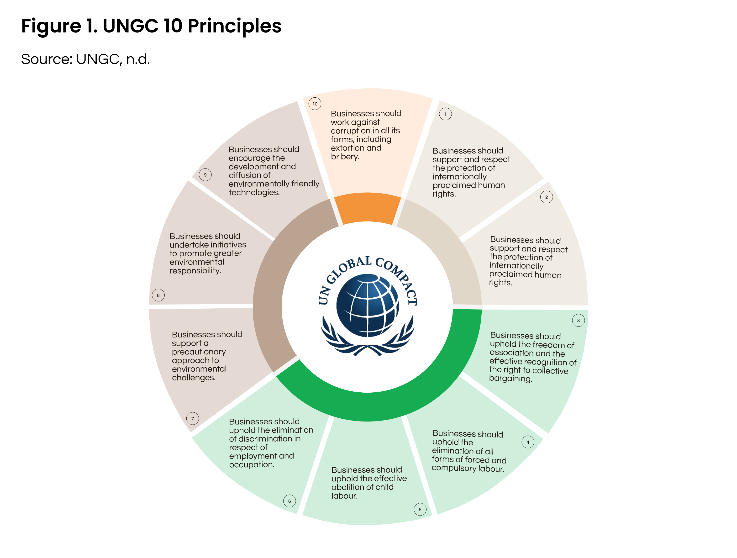 10 UNGC Principles