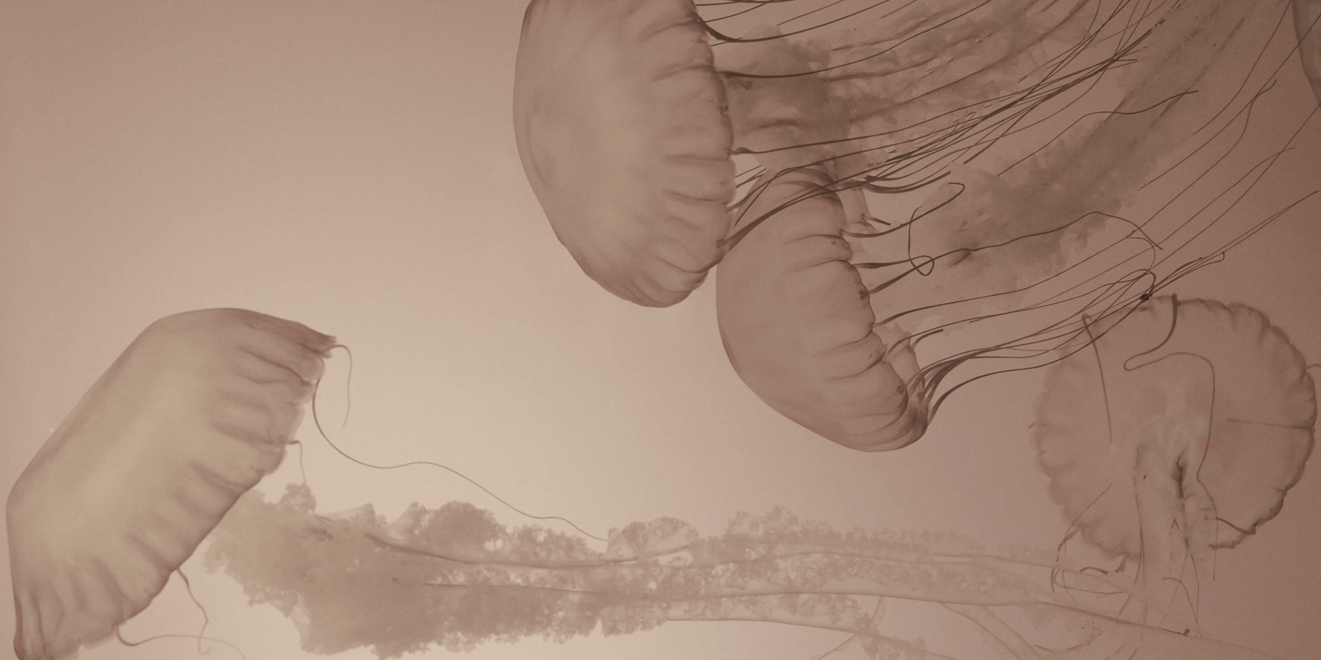 The COP15 Agreement to Halt the Biodiversity Crisis and Protect Nature